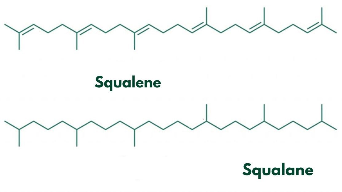 Olive oil Squalene