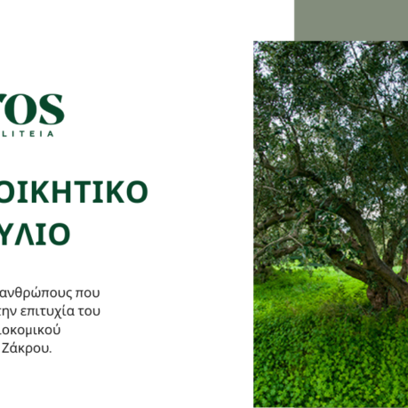 New Board Zakros Article