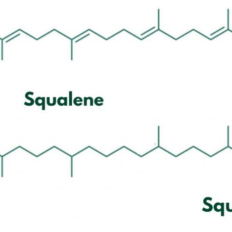 Olive oil Squalene